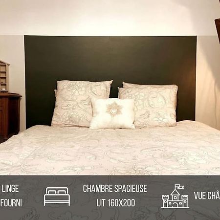 Grand Appartement Place Saint-Pierre, Proche Chateau De Saumur Et Bord De Loire" 외부 사진