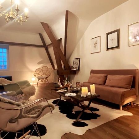 Grand Appartement Place Saint-Pierre, Proche Chateau De Saumur Et Bord De Loire" 외부 사진