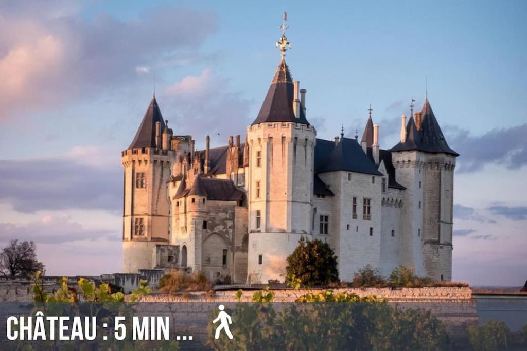 Grand Appartement Place Saint-Pierre, Proche Chateau De Saumur Et Bord De Loire" 외부 사진